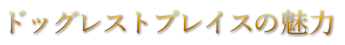 ドッグレストプレイスの魅力