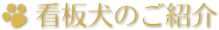 看板犬のご紹介