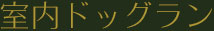 室内ドッグラン