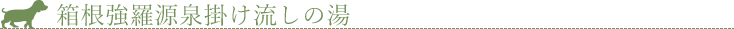 箱根強羅源泉掛け流しの湯