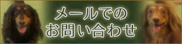 メールでのお問い合わせ