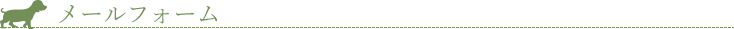 メールフォーム