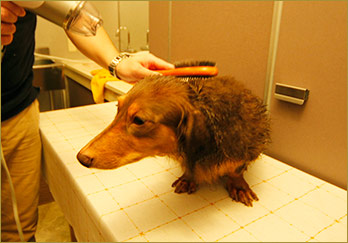 ファイル 2-1.jpg